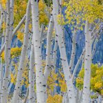 Aspen Equinox