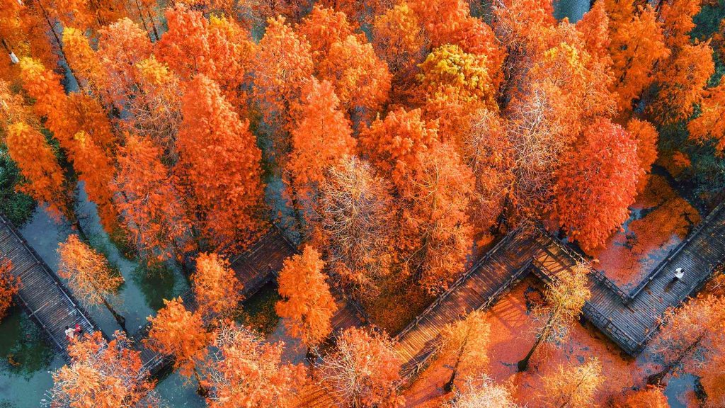 Autumnal Equinox Y25
