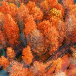Autumnal Equinox Y25
