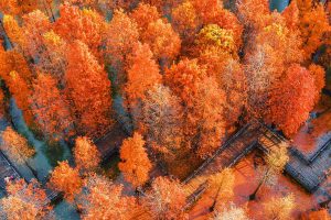 Autumnal Equinox Y25