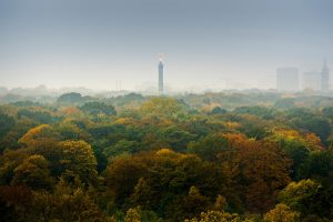 Berlin Autumn