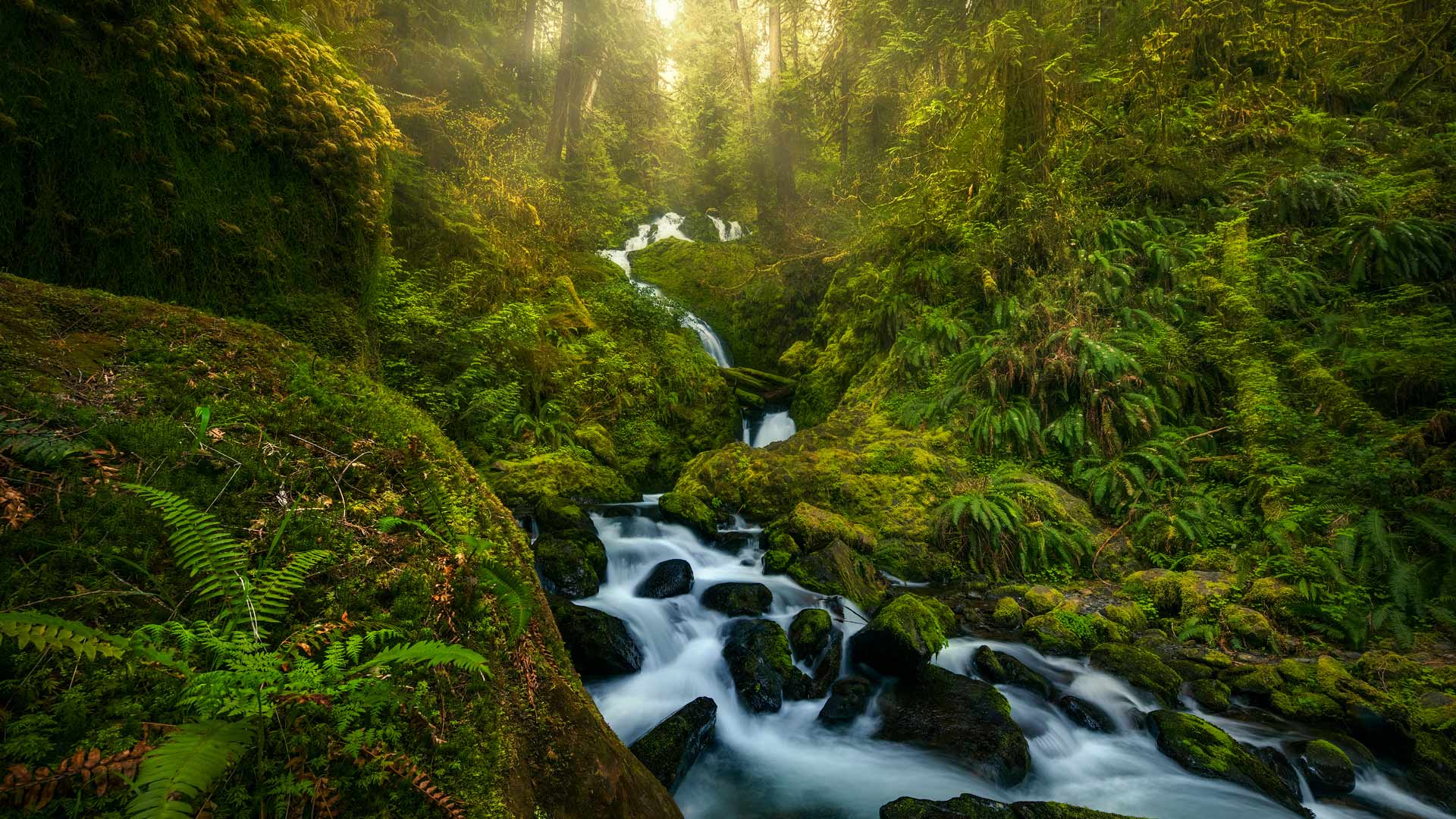 Hoh Waterfall
