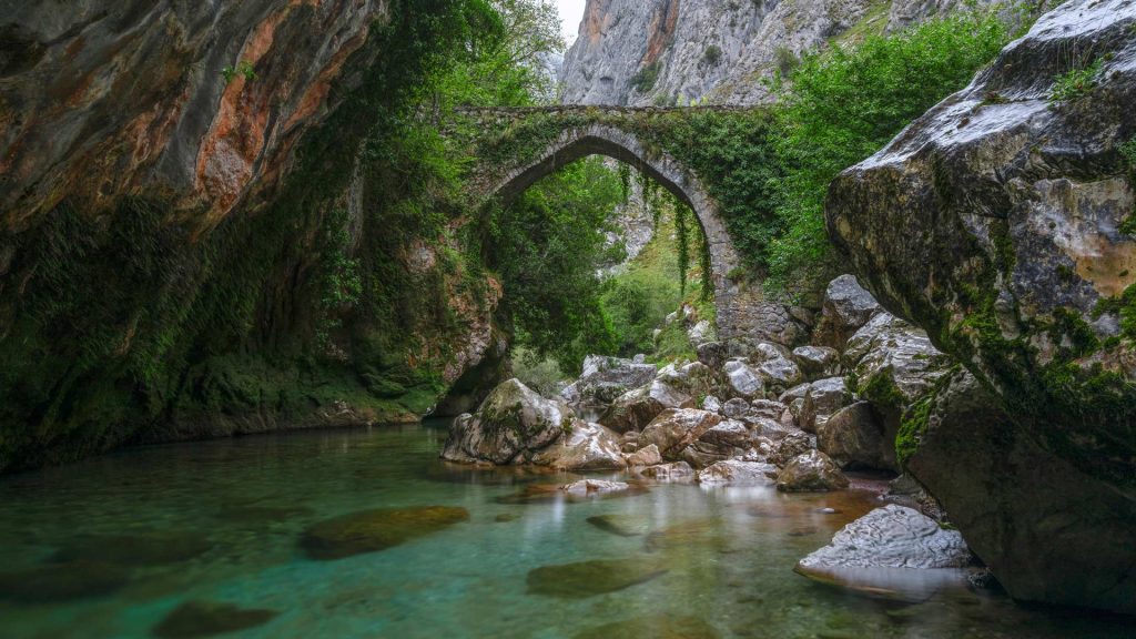 La Jaya Asturias Day