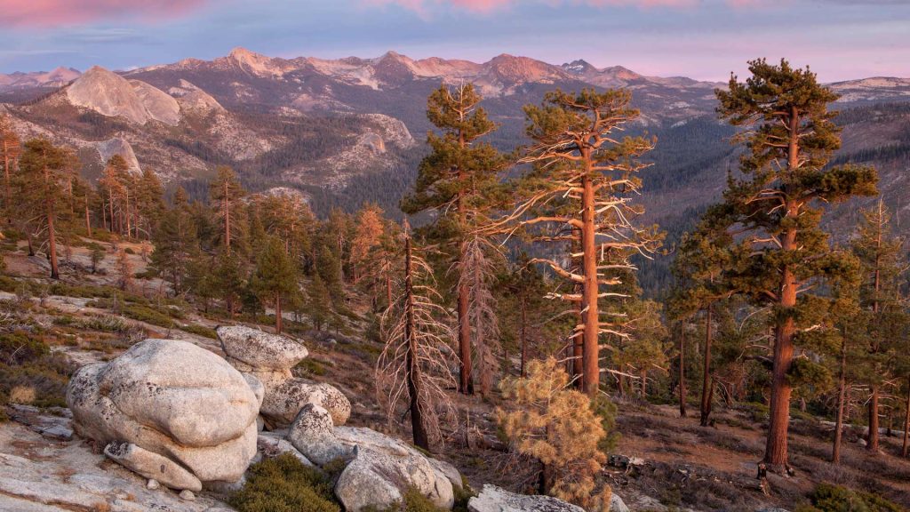 Yosemite Clark
