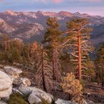 Yosemite Clark
