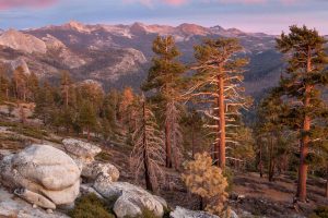 Yosemite Clark