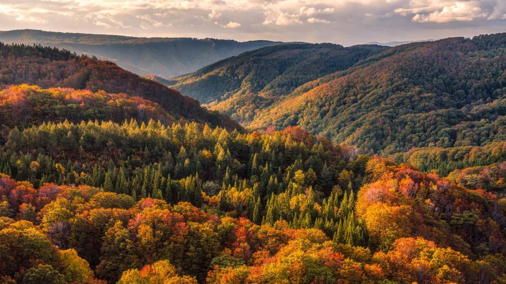 Aomori Autumn2025