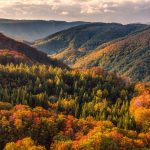 Aomori Autumn2025