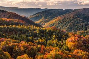 Aomori Autumn 2025