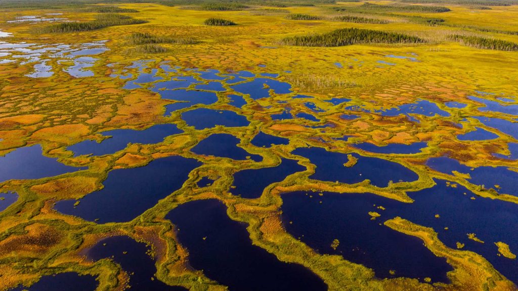 Martimoaapa Finland