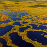 Martimoaapa Finland