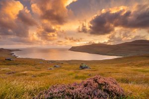 Skye Heather