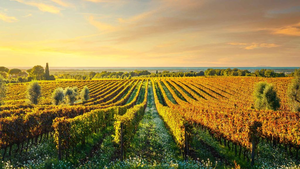 Toscana Autunno