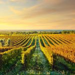 Toscana Autunno