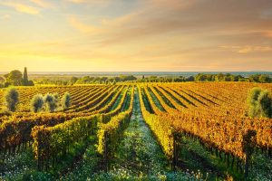 Toscana Autunno