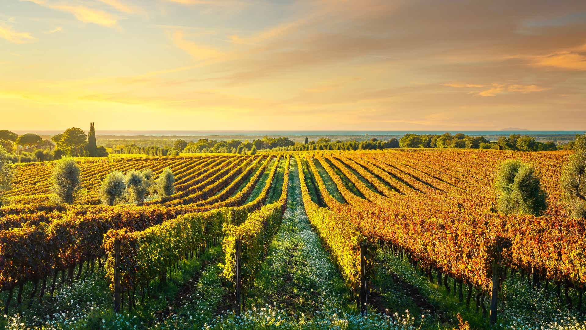 Toscana Autunno