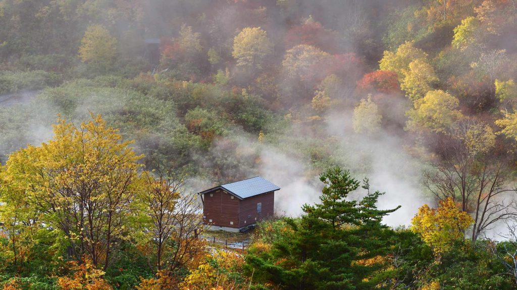 Tamagawa Hotspring2025