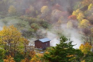 Tamagawa Hotspring 2025