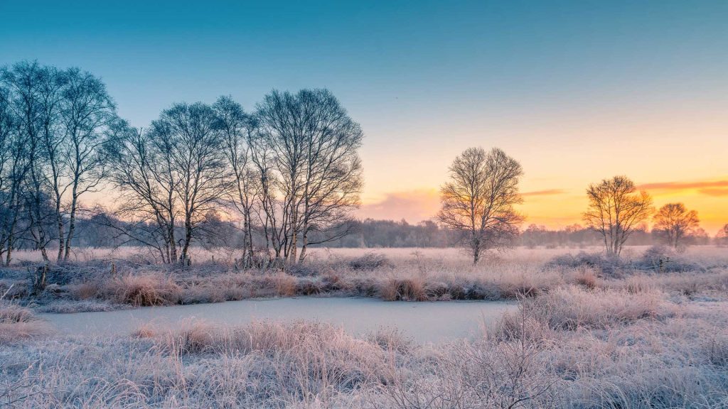 Ostfriesland Winter