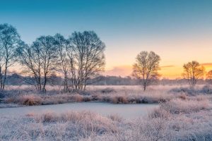 Ostfriesland Winter