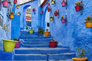 Blue Morocco