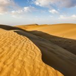 Rajasthan Sand Dunes2025