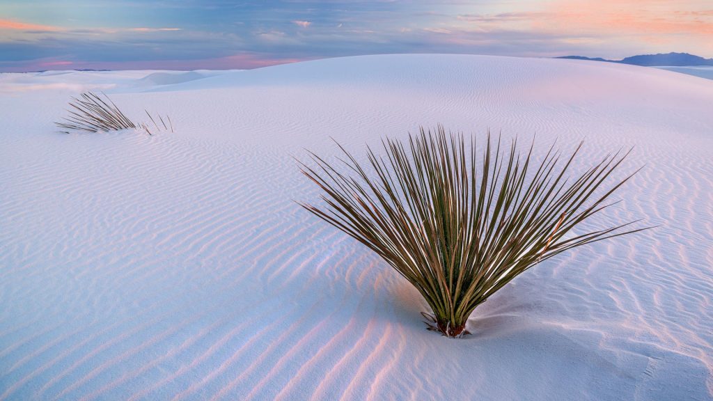 White Sands NM