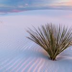 White Sands NM