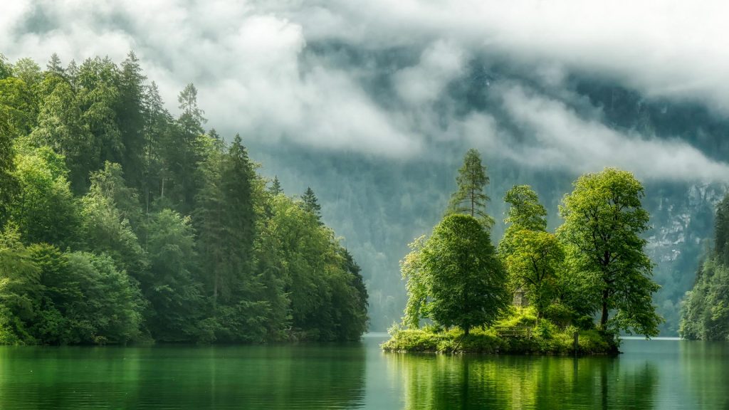Koenigssee Fog