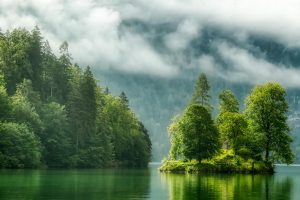 Koenigssee Fog