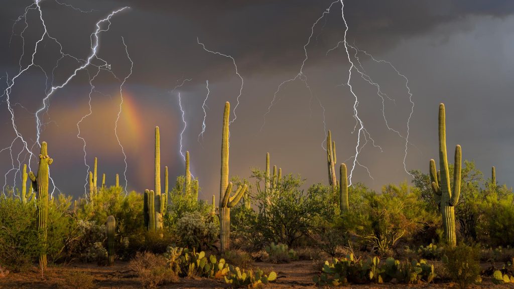 Sonoran Storm