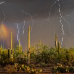 Sonoran Storm