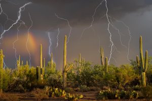 Sonoran Storm