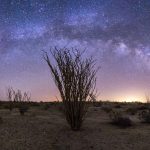 Borrego Stars