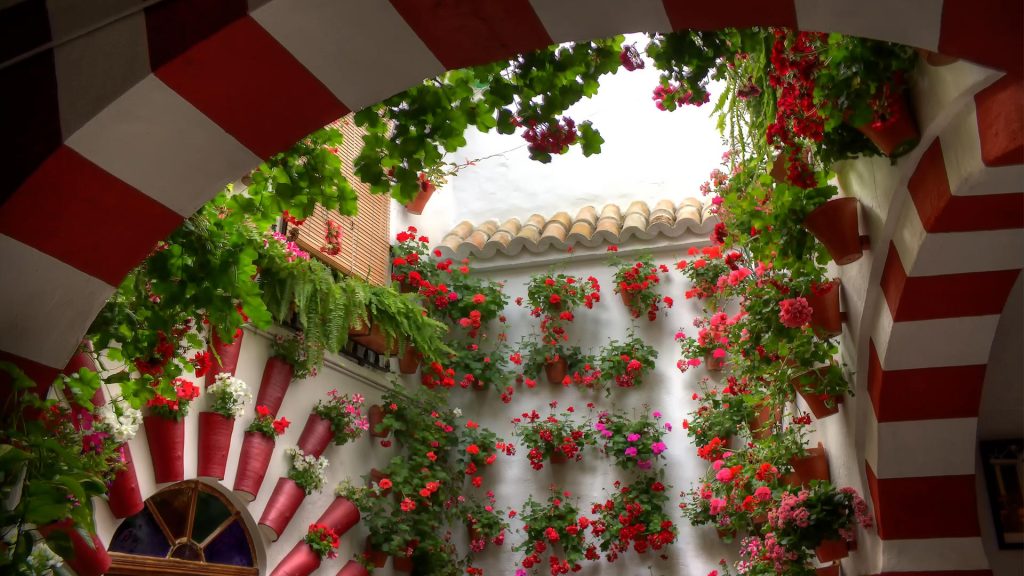 Cordoba Festival
