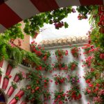 Cordoba Festival