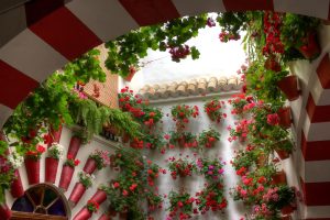 Cordoba Festival