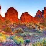Kofa