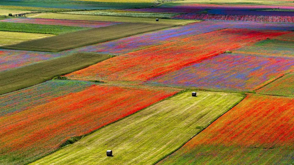 Lenticchie Norcia