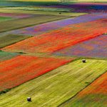 Lenticchie Norcia