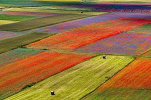Lenticchie Norcia