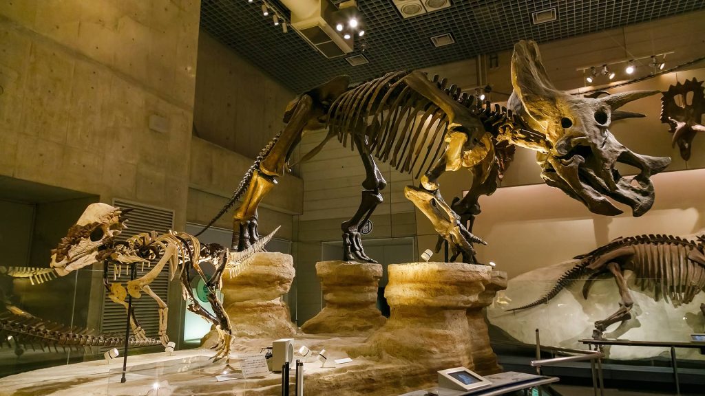 Museum Day2026