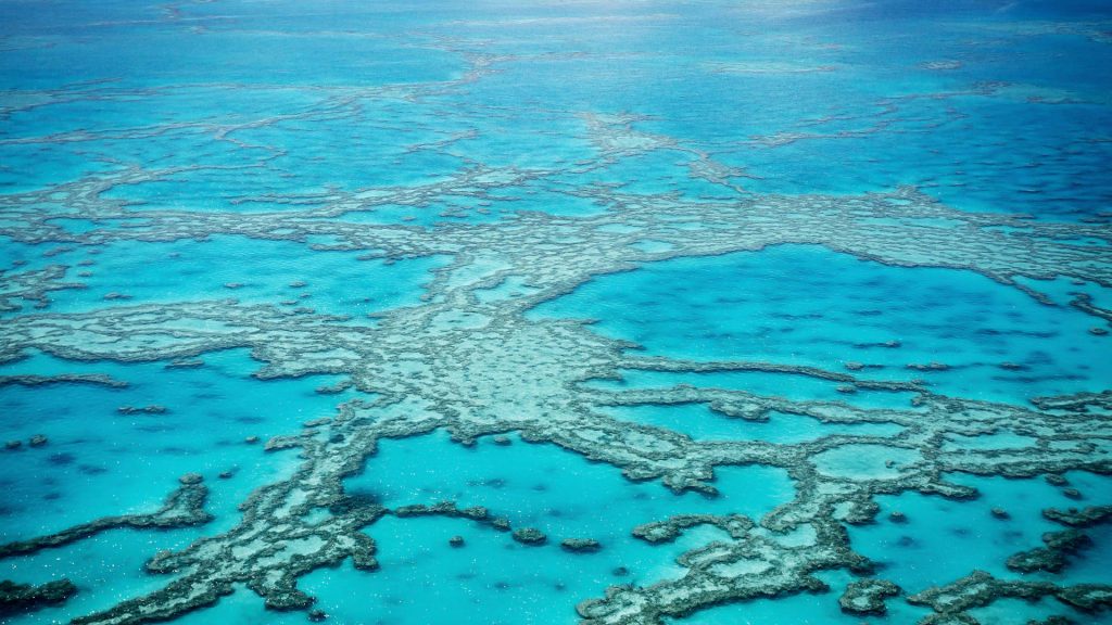 Queensland Reef