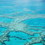Queensland Reef