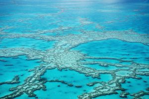 Queensland Reef