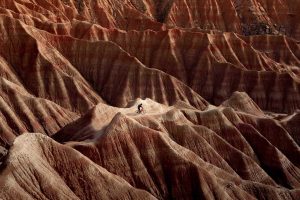 Bardenas Reales