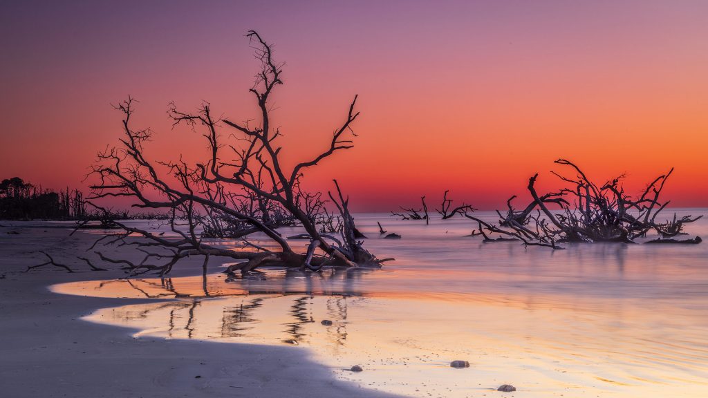 Boneyard Beach