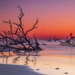 Boneyard Beach