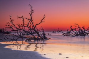 Boneyard Beach