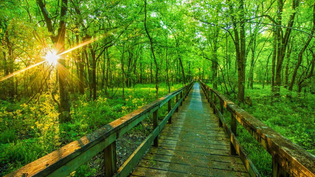 Hiking Natchez